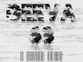 Deeva ft. Kae Y - 68 [a Djinee cover] Artwork | AceWorldTeam.com