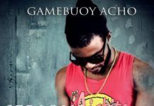 Gamebuoy Acho - SERIOUS PLAY [an Endia cover] Artwork | AceWorldTeam.com