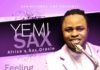 Yemi Sax ft. 9ice - FEELING YOU Artwork | AceWorldTeam.com