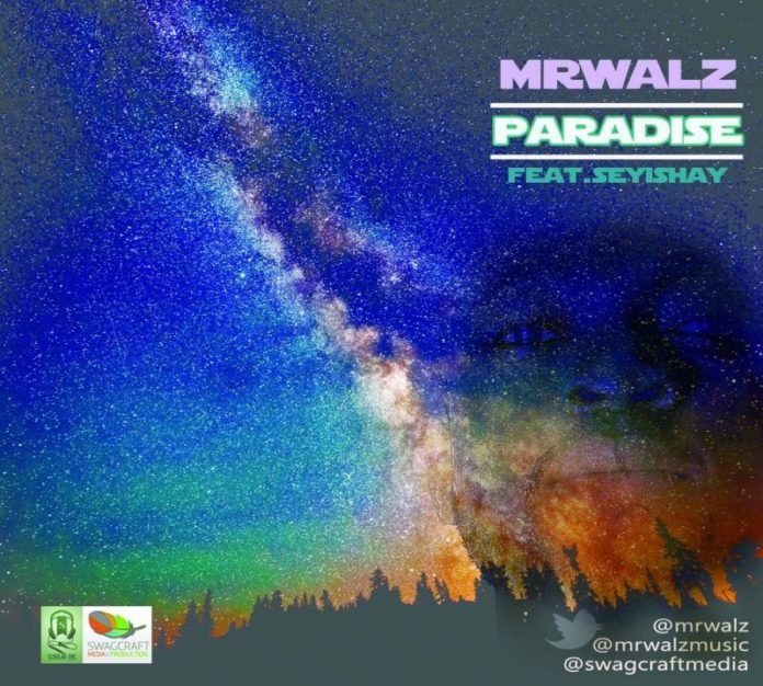 Mr. Walz ft. Seyi Shay - PARADISE Artwork | AceWorldTeam.com