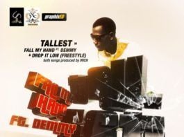 Tallest - FALL MY HAND ft. Demmy + DROP IT LOW Artwork | AceWorldTeam.com