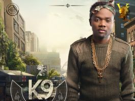 K9 - COUP D'ETAT [prod. by Drey Beatz] Artwork | AceWorldTeam.com