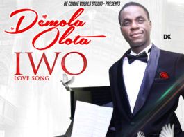 Demola Olota - IWO [Love Song] Artwork | AceWorldTeam.com