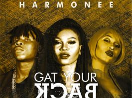 Harmonee ft. Stonebwoy & Cynthia Morgan - GAT YOUR BACK [prod. by Magik] Artwork | AceWorldTeam.com