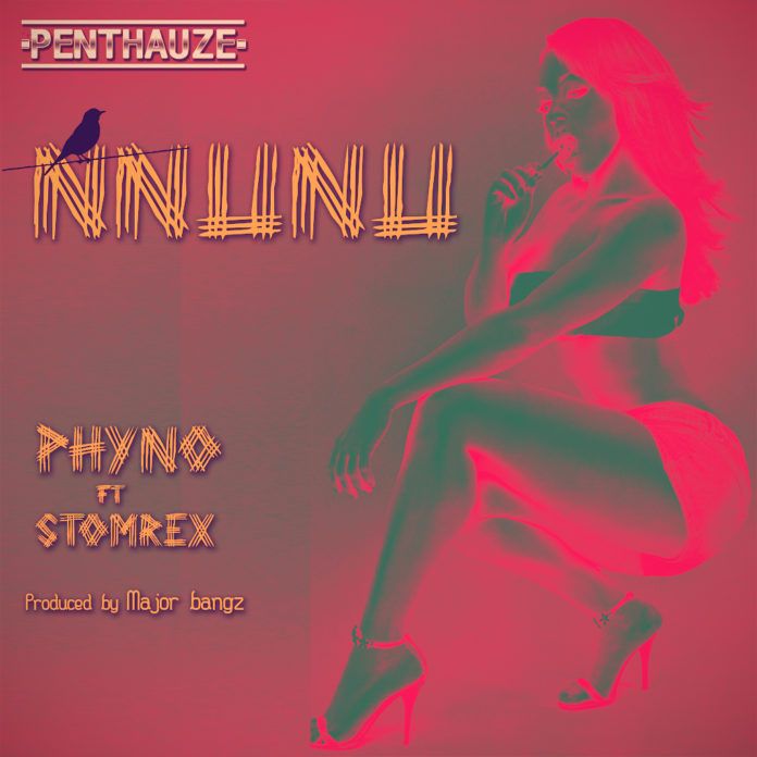 Phyno ft. StormRex - NNUNU [prod. by Major Bangz] Artwork | AceWorldTeam.com