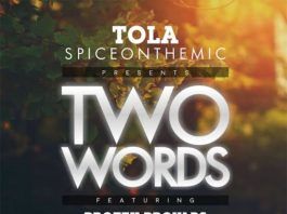 Tola ft. Protek, Provabs & SamJamz - TWO WORDS Artwork | AceWorldTeam.com