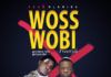 CDQ & Olamide - WOSS WOBI Freestyle (prod. by Twizzle) Artwork | AceWorldTeam.com