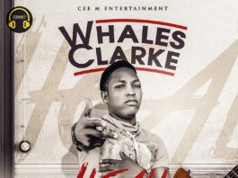 Whales Clarke - LIGALI (prod. by DJ Coublon™) Artwork | AceWorldTeam.com