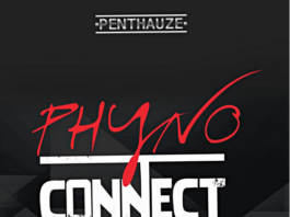 Phyno - CONNECT (prod. by TSpize) Artwork | AceWorldTeam.com