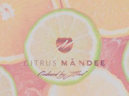 Màndee - CITRUS (prod. by JChef) Artwork | AceWorldTeam.com