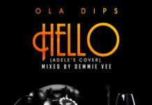 Ola Dips - HELLO (an Adele cover) Artwork | AceWorldTeam.com
