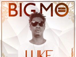 Big Mo - I LIKE (prod. by Jahbwai) Artwork | AceWorldTeam.com