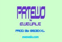 Ewewale - PATEWO (prod. by Siege) Artwork | AceWorldTeam.com