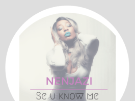 Nenjazi - SE U KNOW ME (prod. by JayBlash) Artwork | AceWorldTeam.com