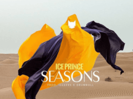 Ice Prince - SEASONS (prod. by IllKeys & DrumRoll) Artwork | AceWorldTeam.com