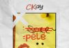 CKay - PELE (a Justin Bieber cover) Artwork | AceWorldTeam.com