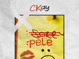 CKay - PELE (a Justin Bieber cover) Artwork | AceWorldTeam.com