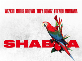 Wizkid, Chris Brown, Trey Songz & French Montana - SHABBA Artwork | AceWorldTeam.com