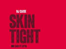 DJ Caise ft. Mr. Eazi & Efya - SKIN TIGHT (House Remix ~ prod. by Benie Macaulay) Artwork | AceWorldTeam.com