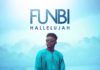 Funbi - HALLELUJAH (prod. by Ikon) Artwork | AceWorldTeam.com