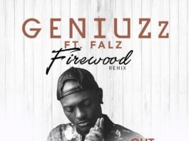 GeniuZz ft. Falz - FIREWOOD (Remix) iTunes Pre-Order Artwork | AceWorldTeam.com