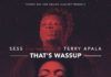 Sess ft. Terry Apala - THAT'S WASSUP Artwork | AceWorldTeam.com