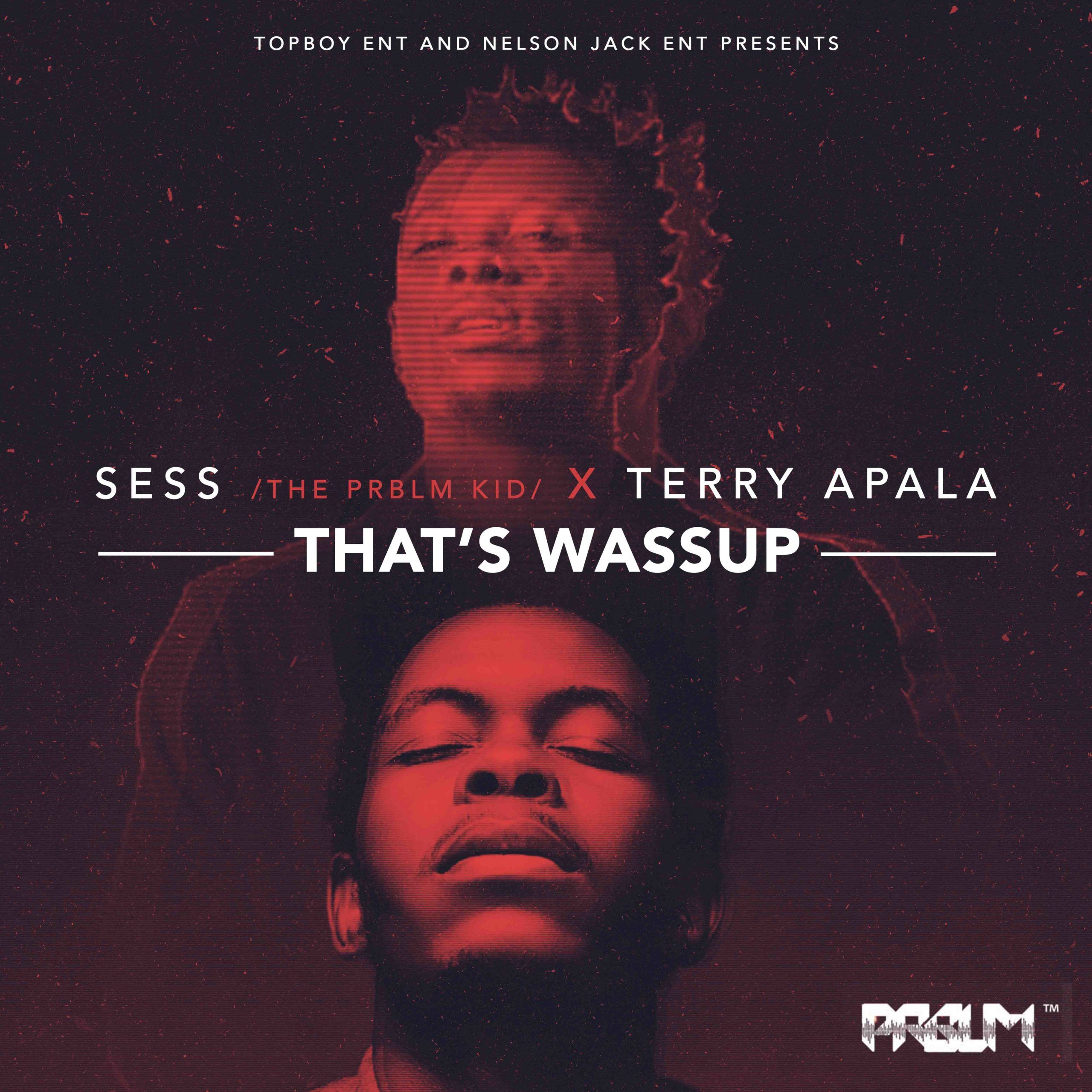 Sess ft. Terry Apala - THAT'S WASSUP Artwork | AceWorldTeam.com
