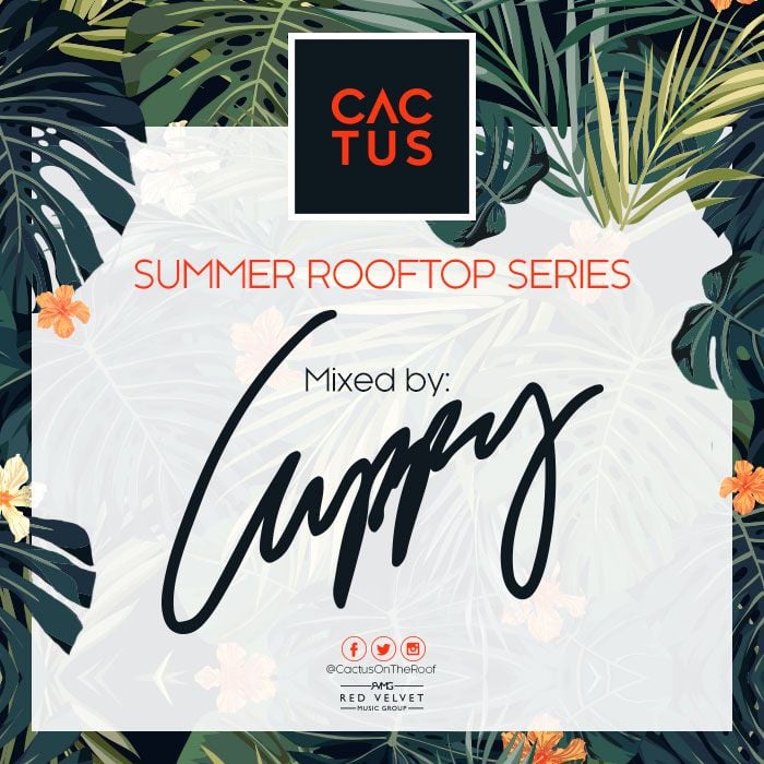 DJ Cuppy - CACTUS ON THE ROOF (A Mix by Cuppy) Artwork | AceWorldTeam.com