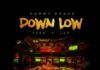 Dammy Krane ft. YCee & L.A.X - DOWN LOW (prod. by Spotless) Artwork | AceWorldTeam.com