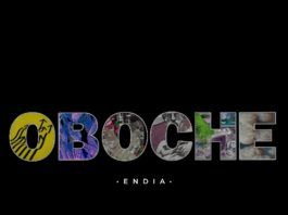 Endia - OBOCHE Artwork | AceWorldTeam.com