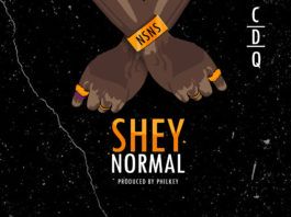 CDQ - SHEY NORMAL (prod. by PhilKeyz) Artwork | AceWorldTeam.com
