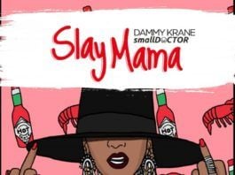 Dammy Krane ft. Small Doctor - SLAY MAMA (prod. by Dicey) Artwork | AceWorldTeam.com