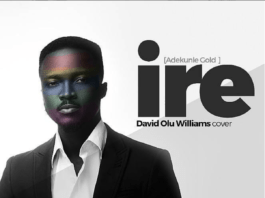 David Olu Williams - IRE (an Adekunle Gold cover) Artwork | AceWorldTeam.com