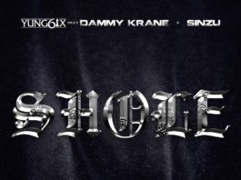 Yung6ix ft. Dammy Krane & Sinzu - SHOLE (prod. by Disally) Artwork | AceWorldTeam.com