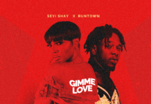 Seyi Shay ft. Runtown - GIMME LOVE (prod. by Sarz) Artwork | AceWorldTeam.com