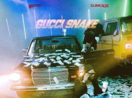 StarBoy ft. Wizkid & SlimCase - GUCCI SNAKE Artwork | AceWorldTeam.com
