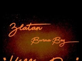 Burna Boy & Zlatan - KILLIN' DEM (prod. by Kel-P) Artwork | AceWorldTeam.com