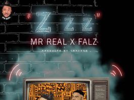 Mr. Real ft. Falz - Z Z Z (prod. by Cracker Mallo) Artwork | AceWorldTeam.com