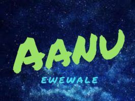 Ewewale - AANU (prod. by Siege) Artwork | AceWorldTeam.com
