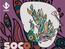 Sess The PRBLM – SOCO (PRBLM Remix) Artwork | AceWorldTeam.com
