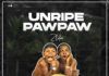Zlatan - Unripe Pawpaw (prod. by P-Prime) Artwork | AceWorldTeam.com