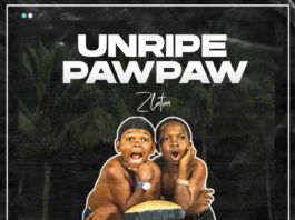 Zlatan - Unripe Pawpaw (prod. by P-Prime) Artwork | AceWorldTeam.com