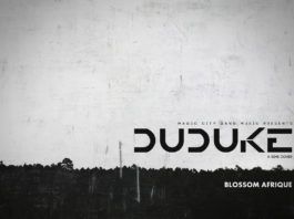Blossom Afrique - Duduke (a Simi cover) Artwork | AceWorldTeam.com