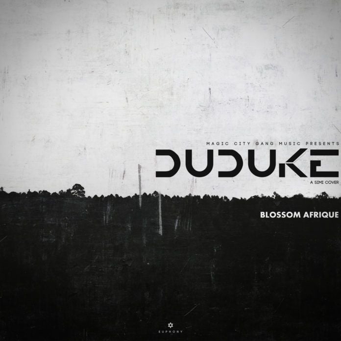Blossom Afrique - Duduke (a Simi cover) Artwork | AceWorldTeam.com