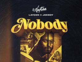 DJ Neptune (feat. Laycon & Joeboy) - Nobody (Icons Remix) Artwork | AceWorldTeam.com