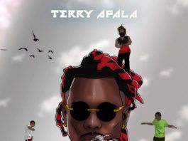 Terry Apala - Kamba (prod. by Ozedikus) Artwork | AceWorldTeam.com