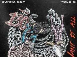 Burna Boy - Want It All (feat. Polo G) Artwork | AceWorldTeam.com