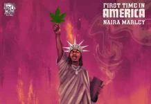Naira Marley - First Time In America (Artwork) | AceWorldTeam.com