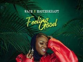 Waje - Feeling Good (feat. Masterkraft) Artwork | AceWorldTeam.com