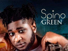 Spino Green - Choose Me (prod. by P.Mynor Beatz) Artwork | AceWorldTeam.com